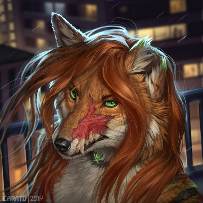 1:1 2019 ambiguous_gender anthro black_lips brown_hair burn canid canine caraid detailed_background digital_media_(artwork) fox fur green_eyes hair headshot_portrait icon lips mammal orange_body orange_fur portrait scar solo teeth white_body white_fur