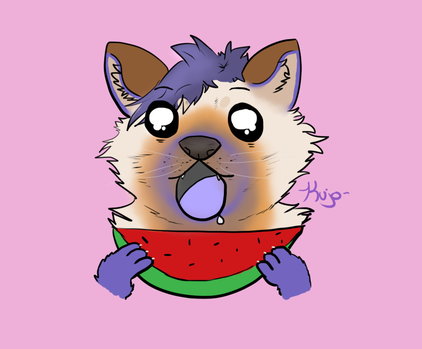 ambiguous_gender bodily_fluids digital_media_(artwork) drooling food fruit fur gulonine hi_res kujo mammal marten melon mustelid musteline open_mouth paws pine_marten plant saliva solo tongue watermelon