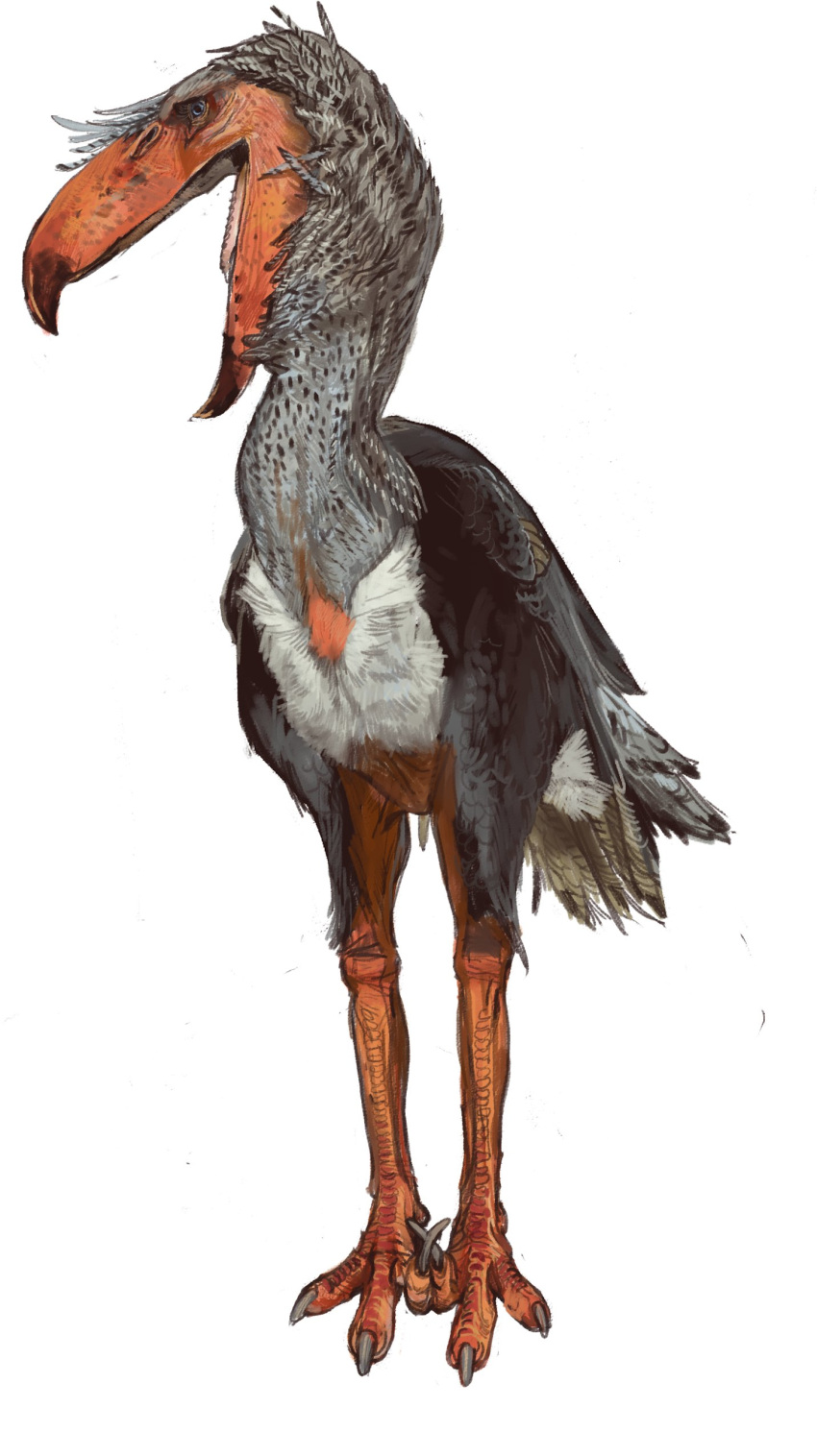 2023 absurd_res ambiguous_gender avian beak bird black_spots blue_eyes cariamiform digital_media_(artwork) feathers feet feral front_view grey_body grey_feathers hi_res kelenken looking_away mossa open_mouth orange_legs scales solo spots standing talons terror_bird toes wings_folded