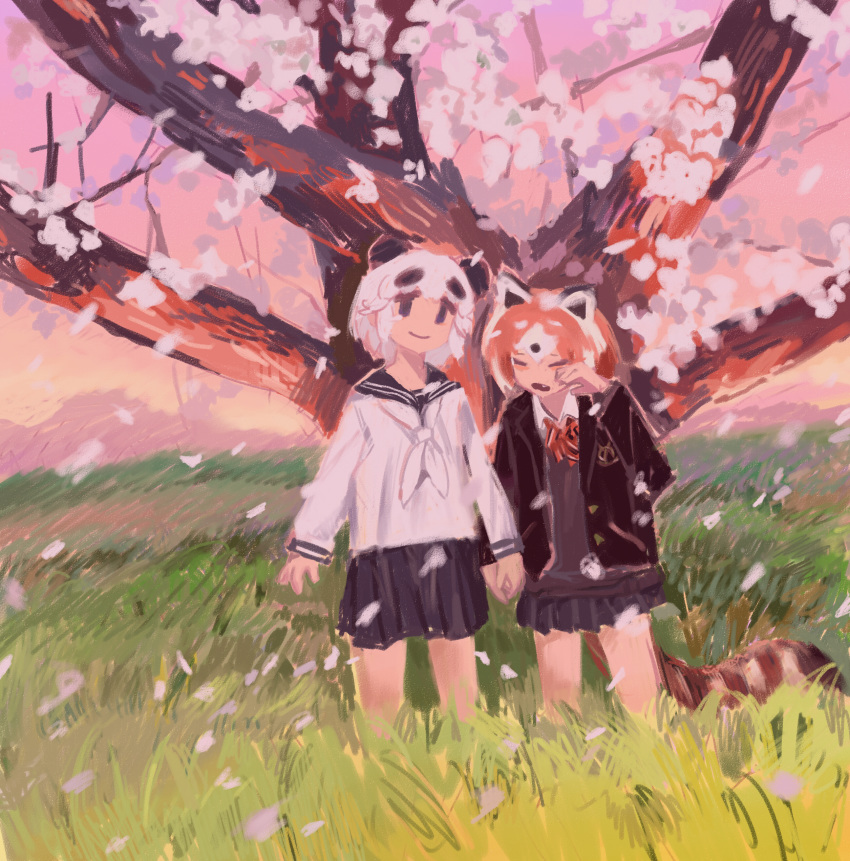 2girls absurdres alternate_costume animal_ears arms_at_sides black_hair black_jacket black_sailor_collar black_skirt blazer cherry_blossoms closed_eyes closed_mouth furrowed_brow giant_panda_(kemono_friends) grass hand_up head_tilt highres holding_hands jacket kemono_friends kemono_friends_2 long_sleeves looking_at_viewer multicolored_hair multiple_girls neckerchief no_nose oerba_yun_fang open_clothes open_jacket open_mouth orange_hair outdoors panda_ears pero_(sabuaka_bacon) petals pleated_skirt red_neckerchief red_panda_(ex)_(kemono_friends) red_panda_(kemono_friends) red_panda_ears red_panda_tail sailor_collar school_uniform serafuku short_hair skirt smile standing striped_tail sweater tail tareme tree two-tone_hair white_hair white_neckerchief wind wing_collar