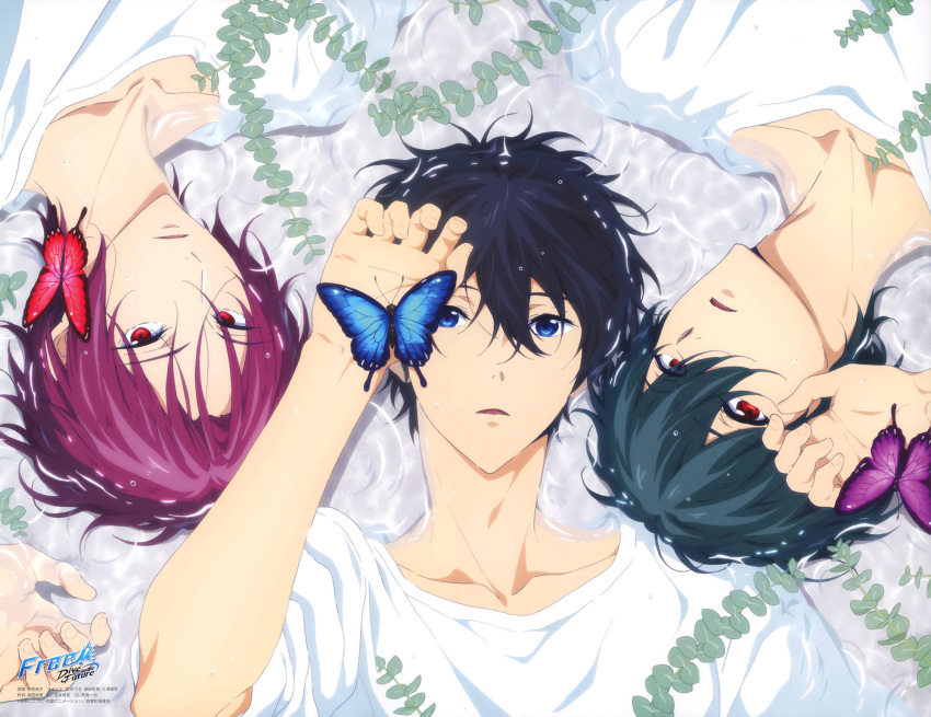 all_male black_hair blue_eyes butterfly free! male matsuoka_rin nanase_haruka possible_duplicate tachibana_makoto