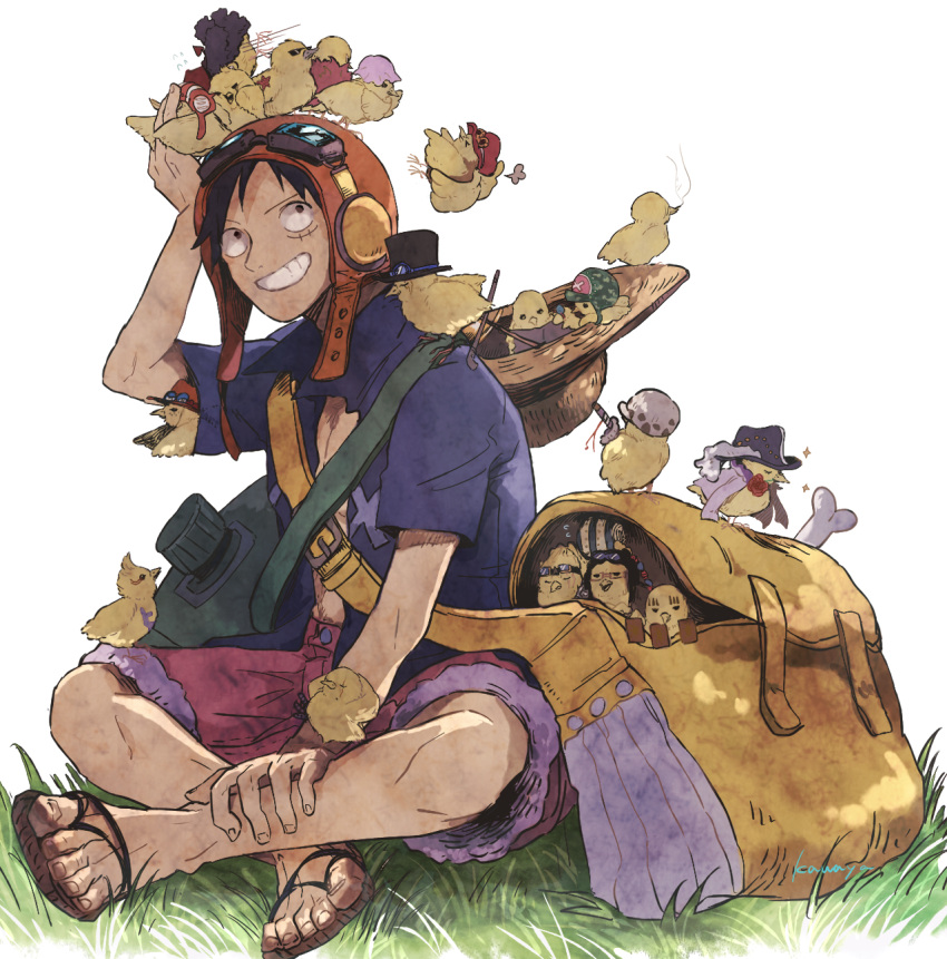 1boy asapbn backpack bag basil_hawkins bird cavendish chick donquixote_doflamingo donquixote_rocinante eustass_kid franky_(one_piece) goggles goggles_on_headwear grass grin hat highres killer_(one_piece) male_focus marco_(one_piece) monkey_d._luffy nami_(one_piece) nico_robin official_alternate_costume on_ground one_piece one_piece:_strong_world portgas_d._ace roronoa_zoro sabo_(one_piece) sandals sanji_(one_piece) scar scar_on_face scratchmen_apoo shorts sitting smile tony_tony_chopper too_many too_many_chicks trafalgar_law usopp