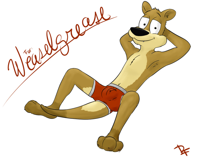 2014 5:4 anthro biped black_nose brown_body brown_fur bulge clothing fur hands_behind_head looking_at_viewer lying male mammal mustelid musteline paintfox sharp_teeth simple_background smile solo tan_body tan_fur teeth toony true_musteline underwear weasel weaselgrease_(character) white_background