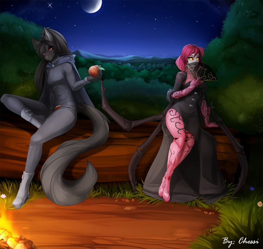 2019 5_fingers anthro arachnid arthropod black_hair breasts chessi clothed clothing detailed_background digital_media_(artwork) duo felid feline female fingers fire grass hair hi_res mammal moon night non-mammal_breasts outside plant sitting sky spider star starry_sky