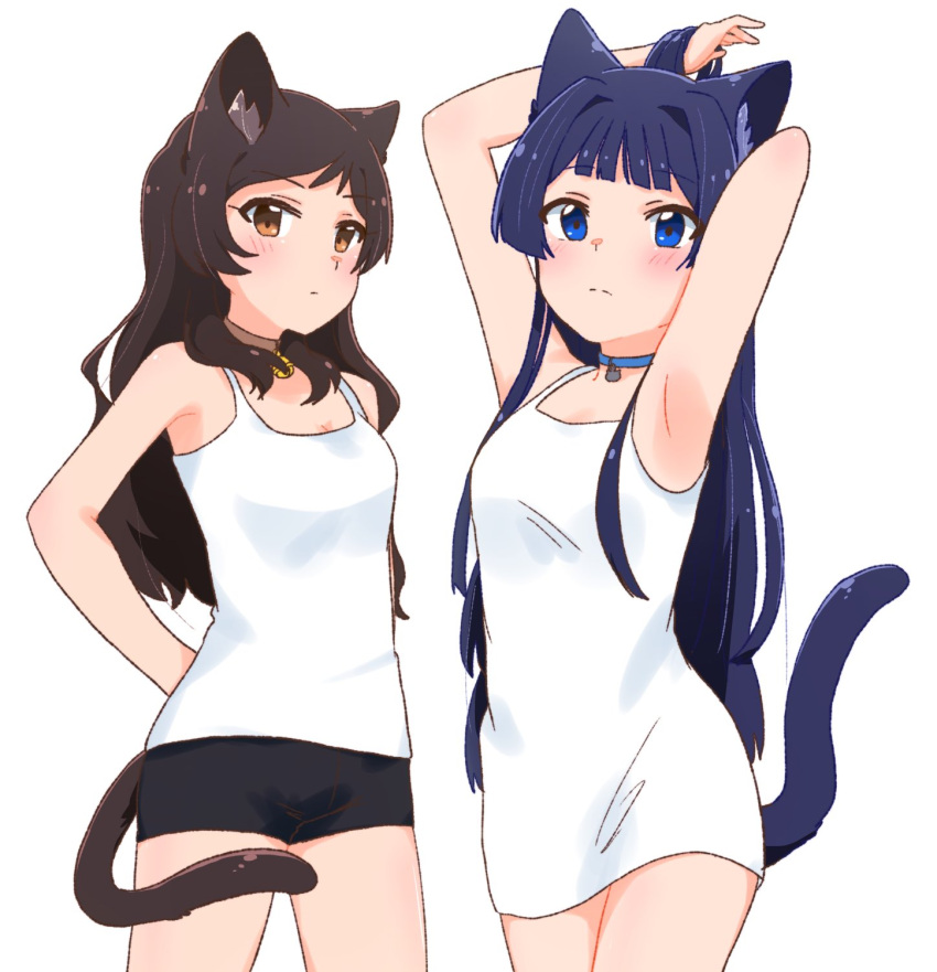 2girls animal_ears armpits arms_behind_back arms_behind_head bell black_shorts blue_collar blue_eyes breasts brown_collar brown_eyes brown_hair cat_ears cat_girl cat_tail collar commentary cowboy_shot dress expressionless highres idolmaster idolmaster_million_live! jingle_bell kitazawa_shiho light_blush long_hair looking_at_viewer medium_breasts mogami_shizuka multiple_girls ou3lt shirt short_shorts shorts sidelocks sleeveless sleeveless_dress small_breasts tail tank_top thighs white_background white_dress white_shirt