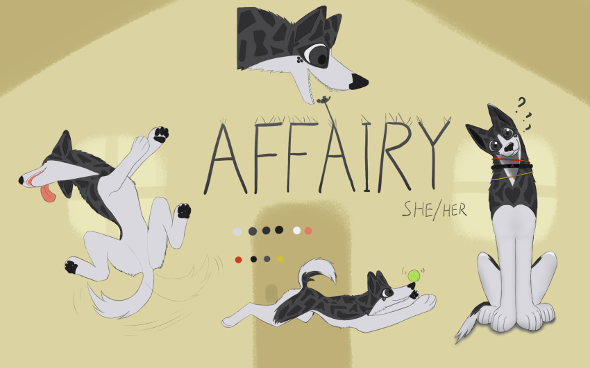 16:10 2023 affairy border_collie canid canine canis collie digital_media_(artwork) domestic_dog english_text female feral fur herding_dog hi_res hikleloveshiking looking_at_viewer mammal model_sheet open_mouth pastoral_dog sheepdog simple_background smile solo tail text tongue widescreen