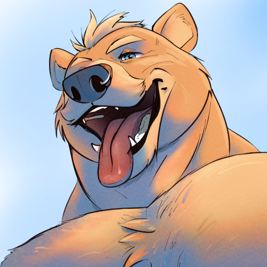 1:1 absurd_res bear blue_eyes chest_tuft eyebrows facial_piercing headshot_portrait hi_res looking_at_viewer male mammal muscular muscular_male nose_piercing nostril_piercing open_mouth piercing portrait shaded simple_background smile teeth timberdonk tongue tongue_out tuft ursine