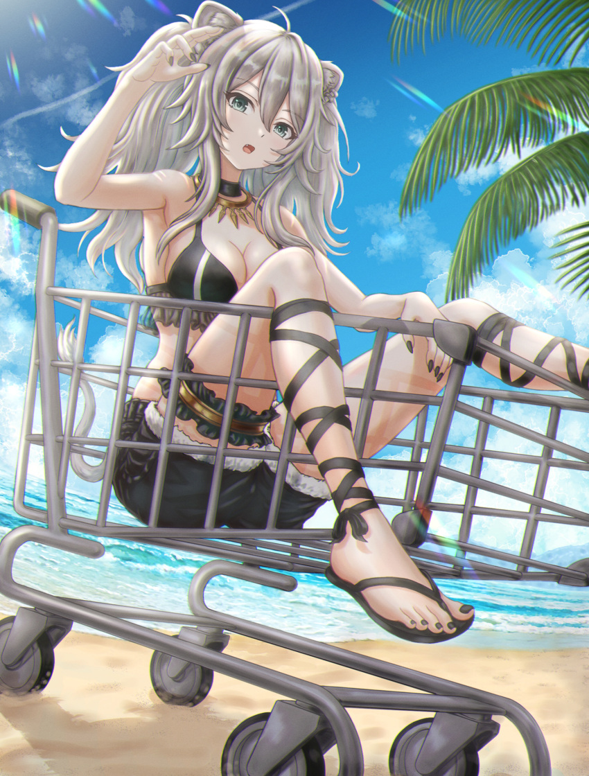 absurdres adapted_costume ahoge alternate_costume animal_ears arm_up armpits beach bikini bikini_top_only black_bikini black_nails blue_sky breasts choker cleavage cloud cloudy_sky commentary_request day fangs feet female foot_out_of_frame frilled_bikini frills fur-trimmed_shorts fur_trim grey_eyes grey_hair hair_between_eyes hand_up highres hololive in_shopping_cart jewelry knees_up large_breasts leg_ribbon legs lens_flare lion_ears lion_girl lion_tail long_hair looking_at_viewer md5_mismatch messy_hair nail_polish necklace open_mouth outdoors palm_tree resolution_mismatch ribbon sandals shishiro_botan shishiro_botan_(1st_costume) shopping_cart shorts sidelocks sitting sky solo source_larger swimsuit tail thigh_strap thighs toenail_polish toenails toes tree trials_rising two_side_up virtual_youtuber wajuniorbox