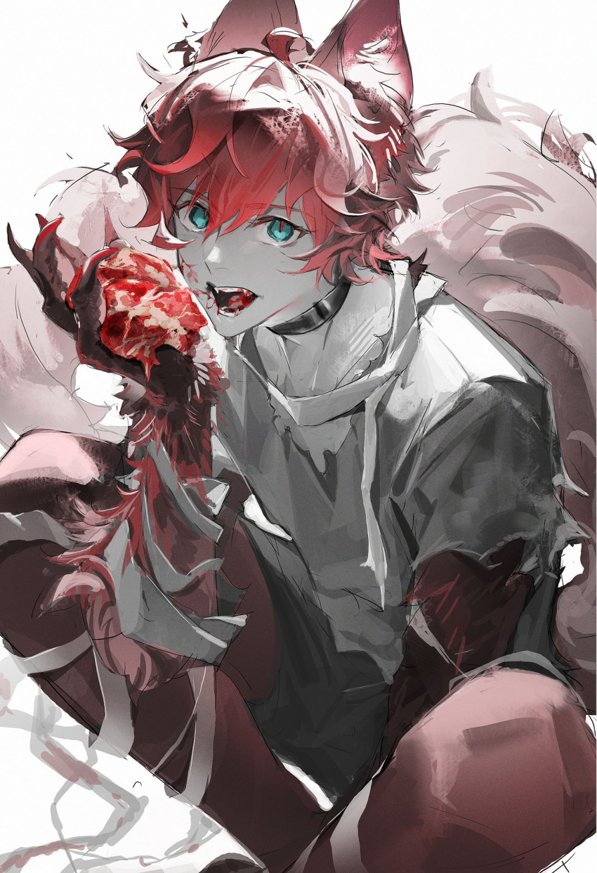 1boy ahoge amagi_hiiro animal_ears animal_hands aqua_eyes black_shorts blood blood_in_mouth blood_on_clothes blood_on_face blood_on_hands claws collar ensemble_stars! fangs feet_out_of_frame hair_between_eyes halloween_costume hand_up highres kukuish looking_at_viewer loose_bandages male_focus open_mouth pants_under_shorts partially_colored red_hair red_pupils red_theme shirt short_hair short_sleeves shorts simple_background sitting slit_pupils solo tail torn_clothes torn_shirt torn_sleeves white_background wolf_boy wolf_ears wolf_tail