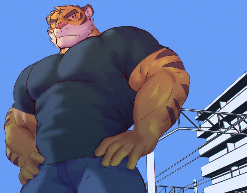 2019 absurd_res annoyed anthro biceps big_biceps big_pecs bottomwear building clothed clothing countershading denim denim_bottomwear denim_clothing digital_media_(artwork) episode0006 eyebrows felid fur hands_on_hips hi_res jeans low-angle_view male mammal muscular muscular_male pantherine pants pecs shirt sky solo stripes thick_eyebrows tiger tight_bottomwear tight_clothing tight_jeans tight_pants tight_shirt tight_topwear topwear