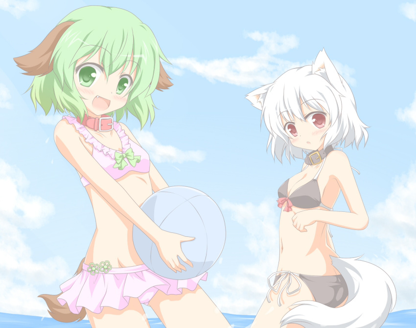 animal_humanoid ball bikini blue_sky bow_bikini canid canid_humanoid canine canine_humanoid canis clothed clothing cloud collar dog_humanoid dog_tail domestic_dog duo fangs female green_eyes green_hair hair holding_ball holding_object human humanoid kyouko_kasodani looking_at_viewer mammal mammal_humanoid momiji_inubashiri navel open_mouth outside red_eyes shino_megumi side-tie_bikini side-tie_clothing side-tie_swimwear silver_hair skimpy sky skyscape string_bikini swimwear teeth tied_bikini tied_clothing touhou wolf wolf_humanoid wolf_tail