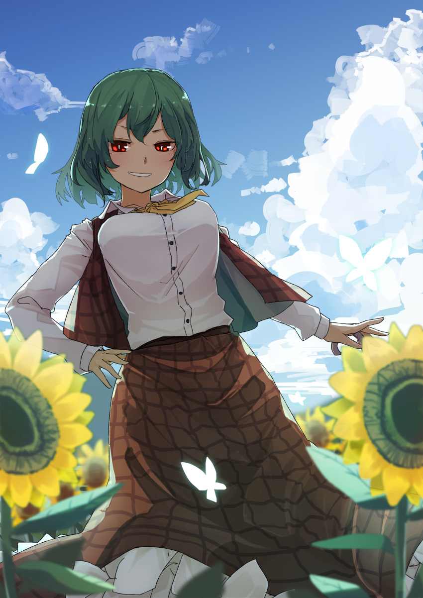 ascot breasts bug butterfly cloud collared_shirt commentary_request cumulonimbus_cloud day female field flower flower_field frilled_skirt frills from_below futatsuki_eru garden_of_the_sun green_hair hair_between_eyes highres kazami_yuuka large_breasts leaf long_skirt long_sleeves open_clothes open_vest outdoors plaid plaid_skirt plaid_vest red_eyes red_skirt red_vest shirt short_hair single_bang skirt skirt_set sky smile solo sunflower sunflower_field sweat teeth touhou vest wavy_hair white_shirt yellow_ascot