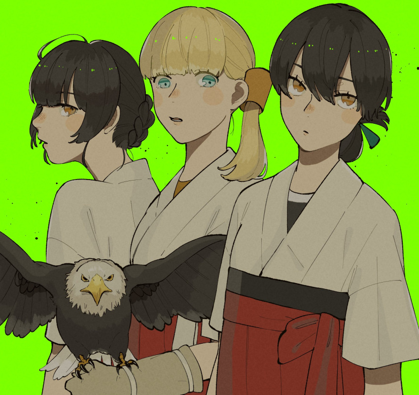 3girls bald_eagle bird bird_on_hand black_hair blonde_hair blue_eyes blunt_bangs double_bun dougi eagle gloves green_background grey_gloves hair_between_eyes hair_bun hakama highres japanese_clothes kantai_collection kasuga_maru_(kancolle) looking_at_viewer multiple_girls orange_eyes parted_lips ponytail red_hakama shin'you_(kancolle) side_ponytail simple_background sukekiyo_(skky_0) upper_body yawata_maru_(kancolle)