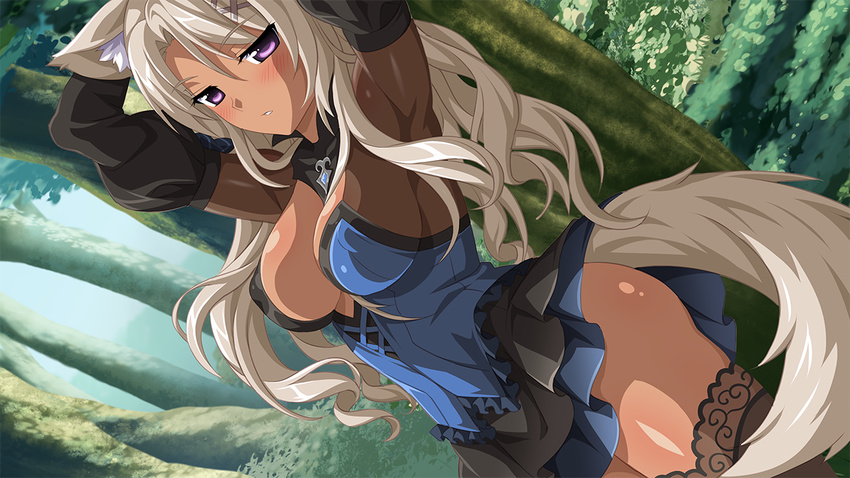 animal_ears armpits arms_behind_head arms_up black_thighhighs blonde_hair blush breasts brooch bush cleavage covered_nipples cowboy_shot cross-laced_clothes dark-skinned_female dark_skin detached_sleeves dress dutch_angle female forest fox_ears fox_tail frilled_dress frills from_side game_cg gem hair_ornament hairclip jewelry lace lace-trimmed_legwear lace_trim large_breasts long_hair looking_at_viewer nature no_bra open_mouth outdoors parted_bangs parted_lips puffy_detached_sleeves puffy_sleeves purple_eyes sakura_spirit sakurano_machiko short_dress solo standing tail thighhighs tree turtleneck wanaca wavy_hair zettai_ryouiki