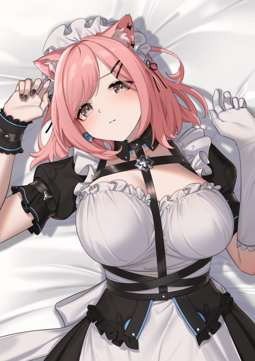 animal_ear_fluff animal_ears arm_belt bed_sheet black_nails black_wristband blush breasts cat_ears closed_mouth commentary dress earrings female fingernails frilled_dress frills gloves grey_eyes hair_ornament hairclip heart heart_earrings highres honkai_(series) honkai_impact_3rd jewelry large_breasts looking_at_viewer lying maid maid_headdress meda medium_hair nail_polish on_back pink_hair short_sleeves single_glove solo swept_bangs timido_cute white_dress white_gloves white_headdress wristband