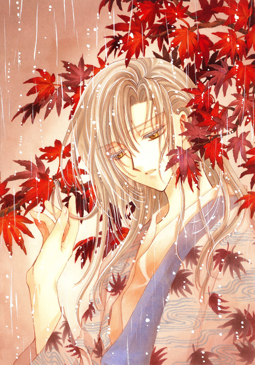 clamp kuzuki_kakyou male tagme x