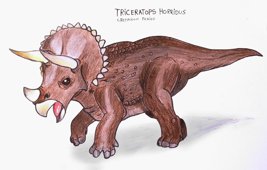 ambiguous_gender ceratopsian dinosaur english_text extinct feral glury_the_unown hi_res horn multi_horn open_mouth ornithischian prehistoric_species quadruped reptile scales scalie simple_background solo text tongue triceratops triceratops_horridus white_background