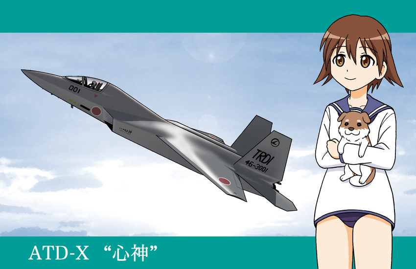 aircraft airplane canine commentary_request day female highres hoshino_banchou lens_flare military miyafuji_yoshika photoshop_(medium) school_uniform serafuku sky smile solo strike_witches swimsuit swimsuit_under_clothes vehicle_and_personification vehicle_focus world_witches_series x-2_shinshin