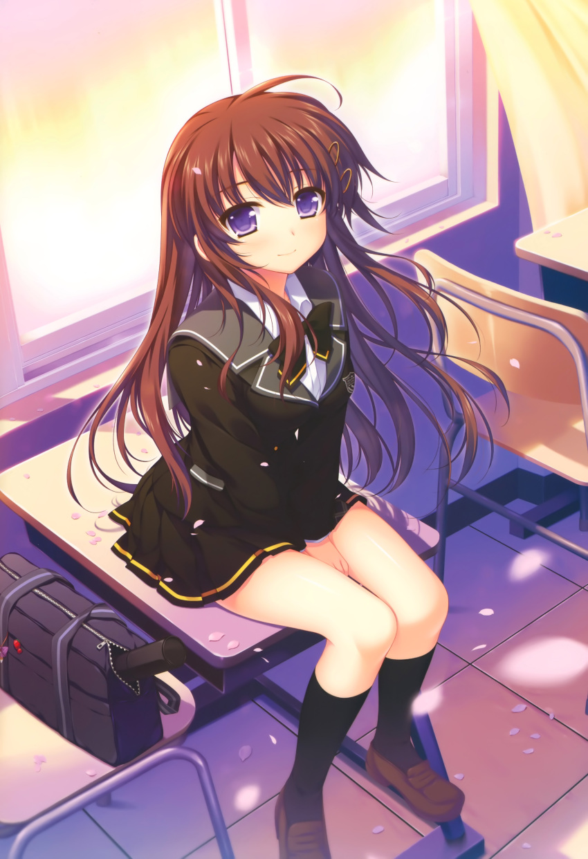 absurdres alpha_(yukai_na_nakamatachi) bag between_legs black_socks blazer blush bow brown_hair chair curtains desk diploma dress_shirt female hair_ornament hand_between_legs highres jacket kimi_to_issho_ni kneehighs light_smile loafers long_hair on_desk petals photoshop_(medium) purple_eyes scan school_bag school_desk school_uniform shirt shoes sitting skirt smile socks solo sunlight tachibana_akane tiles window