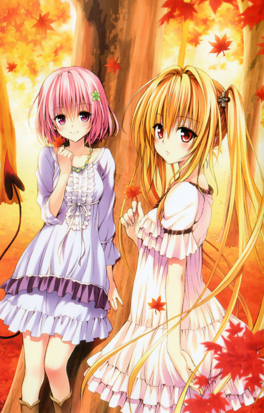 2girls absurdres alternate_hairstyle blonde_hair boots demon_tail dress dutch_angle flower hair_flower hair_ornament highres jewelry konjiki_no_yami leaf long_hair maple_leaf momo_velia_deviluke multiple_girls necklace official_art photoshop_(medium) pink_eyes pink_hair red_eyes scan short_hair smile tail to_love-ru tree twintails white_dress yabuki_kentarou