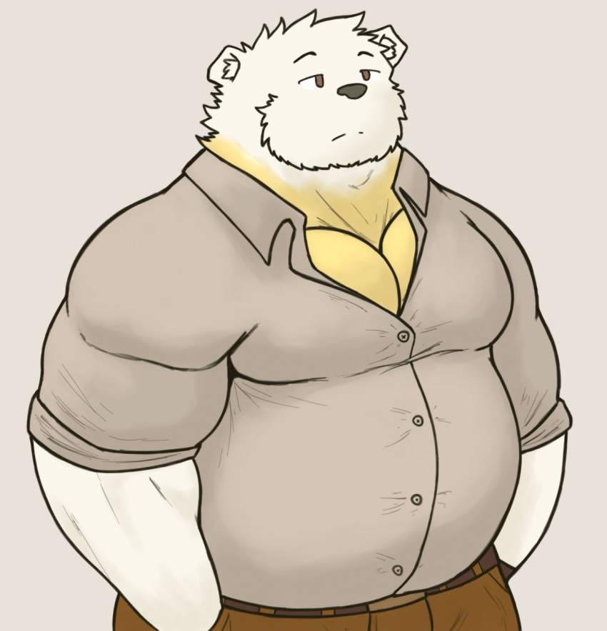 2019 alfredblaze american_black_bear anthro bear black_bear bottomwear chuck_(alfredblaze) clothing fur hi_res kermode_bear male mammal musclegut muscular overweight overweight_anthro overweight_male pants shirt simple_background solo topwear ursine white_body white_fur