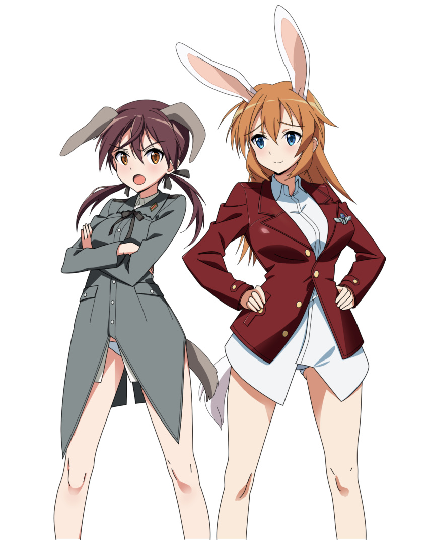 2girls animal_ears anime_coloring blue_eyes blush breasts brown_eyes brown_hair charlotte_e._yeager closed_mouth commentary_request crossed_arms dog_ears dog_girl dog_tail gertrud_barkhorn hair_ornament hair_ribbon hands_on_own_hips highres kaneko_(novram58) large_breasts looking_at_viewer medium_breasts military military_uniform multiple_girls no_pants open_mouth panties rabbit_ears rabbit_girl ribbon simple_background smile standing strike_witches tail twintails underwear uniform white_background white_panties world_witches_series