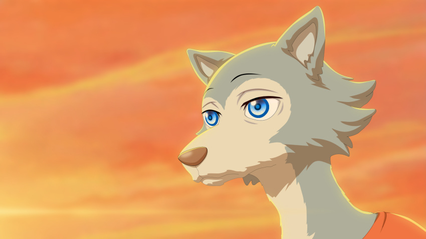 16:9 anthro beastars blue_eyes canid canine canis clothing cloud digital_media_(artwork) evening fur grey_body grey_fur hi_res legoshi_(beastars) male mammal mouth_closed multicolored_body multicolored_fur orange_clothing red_clothing sky solo stare two_tone_body two_tone_fur white_body white_fur widescreen wolf xdzy111