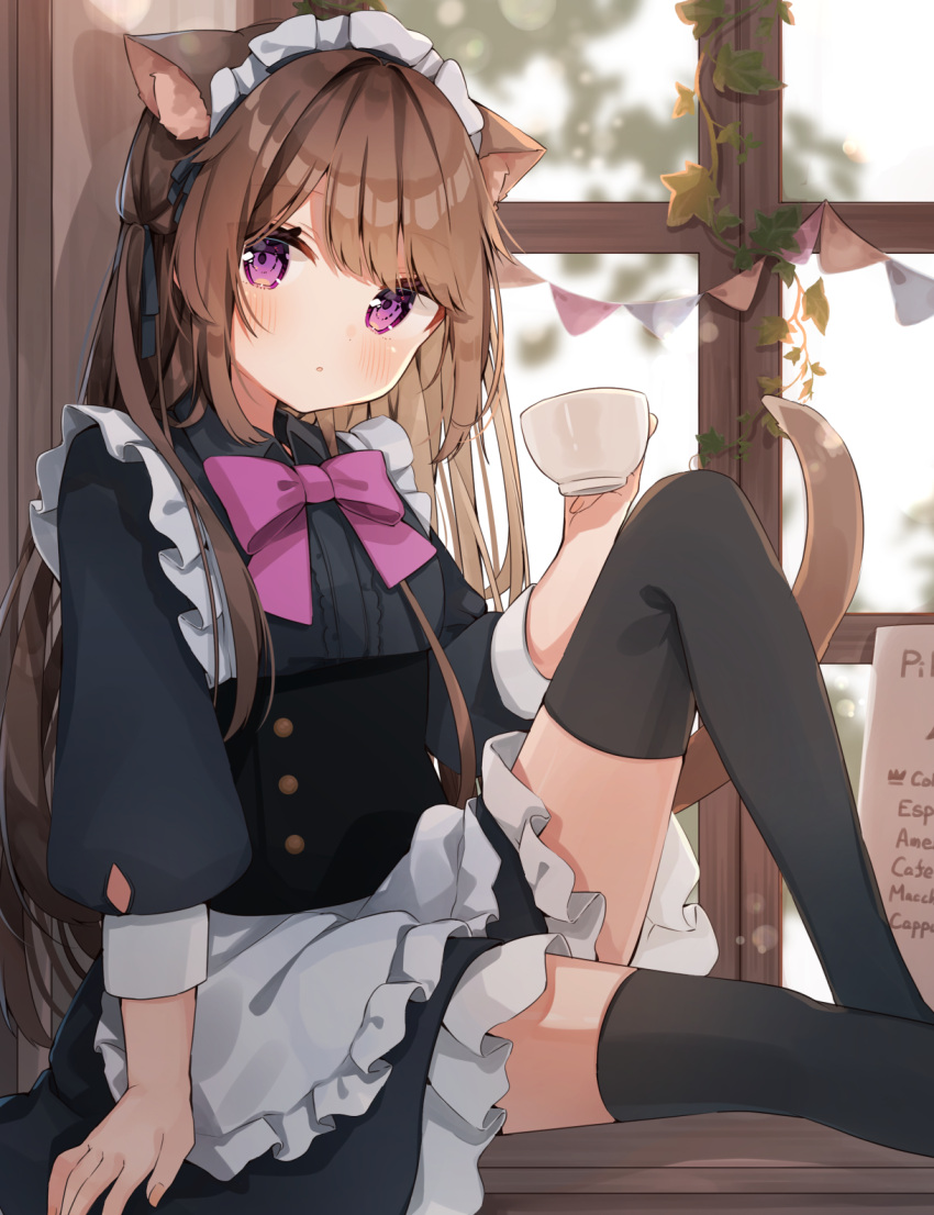 animal_ear_fluff animal_ears apron black_dress black_ribbon black_thighhighs blush bow bowtie brown_hair cat_ears cat_girl cat_tail cup dress feet_out_of_frame female frilled_apron frilled_dress frills from_side hair_ribbon heripiro highres holding holding_cup indoors knee_up long_sleeves looking_at_viewer looking_to_the_side maid original parted_lips pink_bow pink_bowtie puffy_long_sleeves puffy_sleeves purple_eyes ribbon sitting solo tail tail_raised teacup thighhighs two_side_up waist_apron window