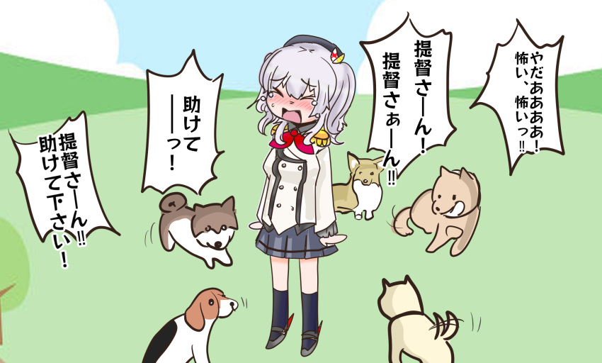 beret black_hat buttons canine closed_eyes crying epaulettes female frilled_sleeves frills grey_hair grey_skirt hat highres jacket kantai_collection kashima_(kancolle) long_sleeves military military_jacket military_uniform multiple_dogs neckerchief pleated_skirt red_neckerchief shouhou-san_daisuki_teitoku sidelocks skirt solo standing tears too_many too_many_dogs translated twintails uniform wavy_hair white_jacket