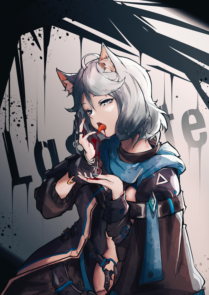 absurdres alternate_hair_color animal_ear_fluff animal_ears arknights black_jacket blood blood_from_mouth blue_scarf commentary_request cowboy_shot female fingernails grey_eyes grey_hair half-closed_eyes hands_up highres jacket licking licking_blood licking_finger long_sleeves looking_at_viewer monique_(arknights) no_shirt open_clothes open_jacket open_mouth scarf short_hair solo soryu tongue tongue_out