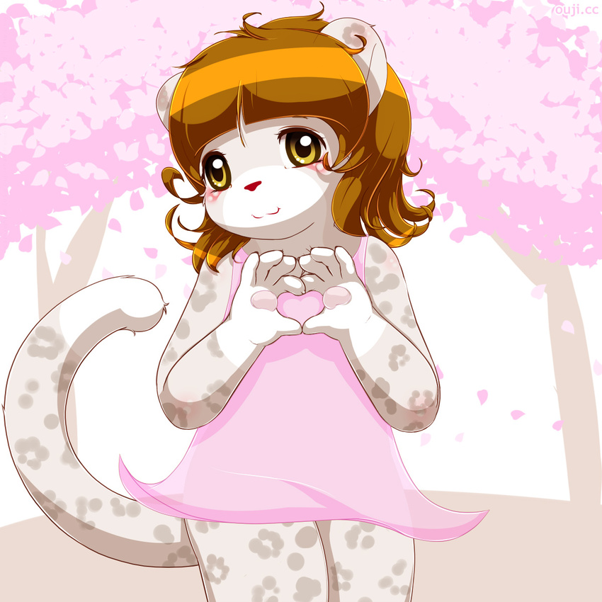 1:1 anthro cherry_blossom clothing dress felid female flat_chested flower heart_symbol hi_res mammal maverick outside pantherine pistachio_(maverick) plant prunus_(flower) slightly_chubby snow_leopard solo sundress young young_anthro