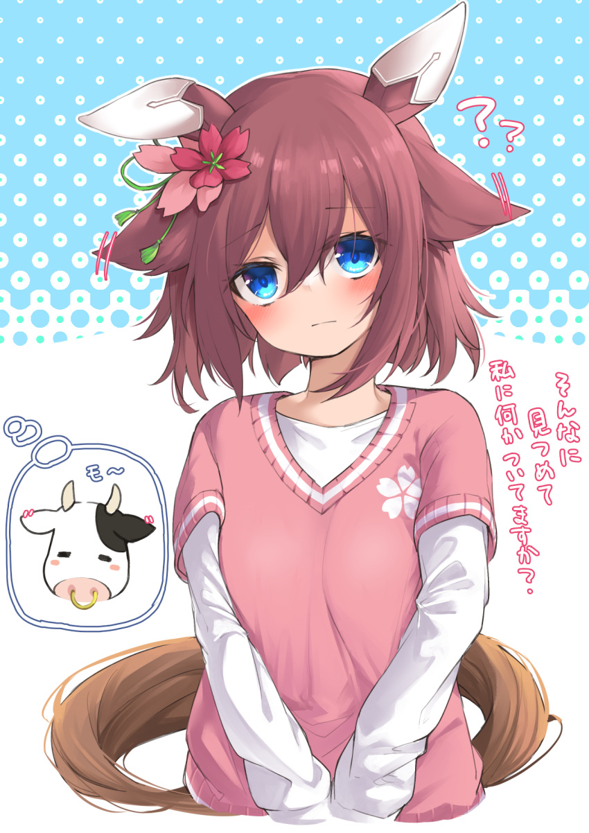 ? ?? animal_ears blue_background blue_eyes blush bovine brown_hair closed_mouth commentary_request cropped_torso female flower hair_between_eyes hair_flower hair_ornament highres horse_ears horse_girl horse_tail layered_sleeves leglus long_sleeves looking_at_viewer pink_sweater red_flower sakura_chiyono_o_(umamusume) shirt short_over_long_sleeves short_sleeves solo spoken_animal sweater tail translated umamusume upper_body white_background white_shirt