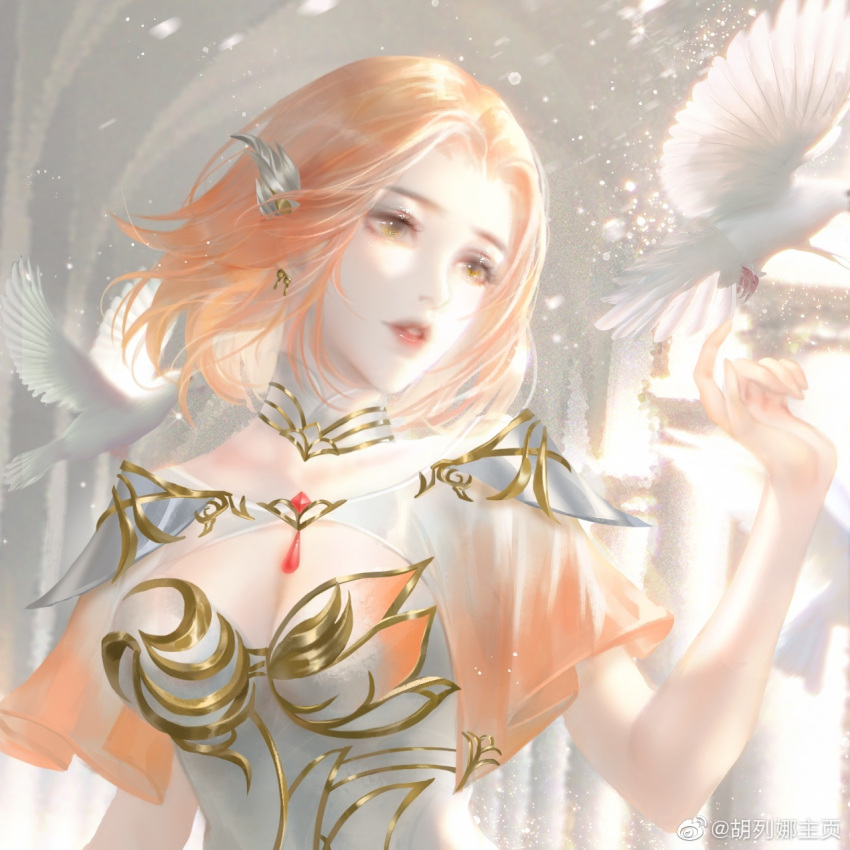 artist_request bird blonde_hair breasts check_artist cleavage douluo_dalu dove dress female gold_trim hair_ornament head_tilt highres hu_liena_(douluo_dalu) hu_liena_zhuye light light_particles medium_breasts medium_hair orange_hair orange_sleeves parted_lips short_hair short_sleeves solo staring upper_body weibo_logo weibo_watermark white_dress yellow_eyes