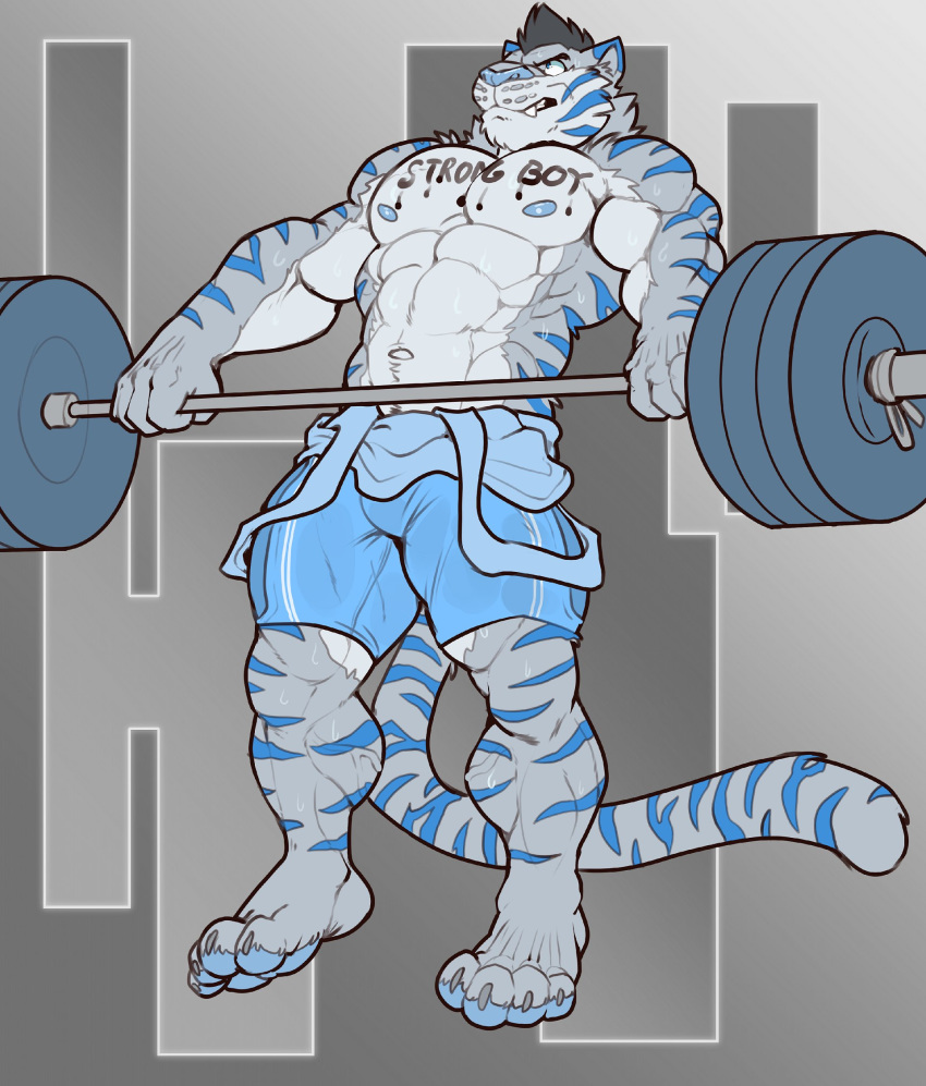 2018 4_toes abs anthro barbell barefoot biceps big_muscles biped black_hair blue_body blue_fur blue_nipples blue_nose blue_stripes blue_tail body_writing claws clothed clothing digital_media_(artwork) english_text exercise feet felid fur grey_background grey_body grey_fur grey_tail hair hi_res male mammal multicolored_body multicolored_fur muscular muscular_anthro muscular_male navel nightterror nipples pantherine partially_clothed pecs shirt simple_background solo striped_body striped_fur stripes tail tank_top teeth text text_on_body tiger toe_claws toes topwear two_tone_tail weightlifting weights white_body white_fur workout writing_on_chest