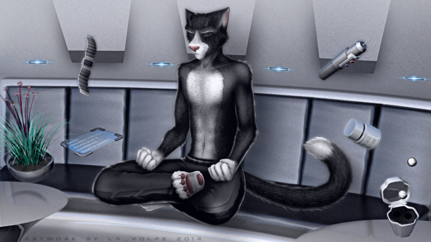 2014 3d_(artwork) abs adam_sung anthro black_body black_fur bottomwear closed_eyes clothed clothing crossed_legs crosslegged_pose digital_media_(artwork) domestic_cat drugs felid feline felis fur la_volpe male mammal meditation muscular muscular_anthro muscular_male pants pink_nose plant science_fiction skinny slim solo superpowers tablet telekinesis text topless watches white_body white_fur