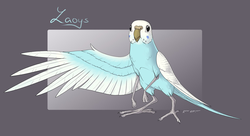 2017 4_toes ascar_angainor avian avian_feet beak bird black_eyes border budgerigar cere_(anatomy) feet feral grey_background loriinae multicolored_body no_pupils parakeet parrot purple_border simple_background solo talons toes true_parrot zygodactyl