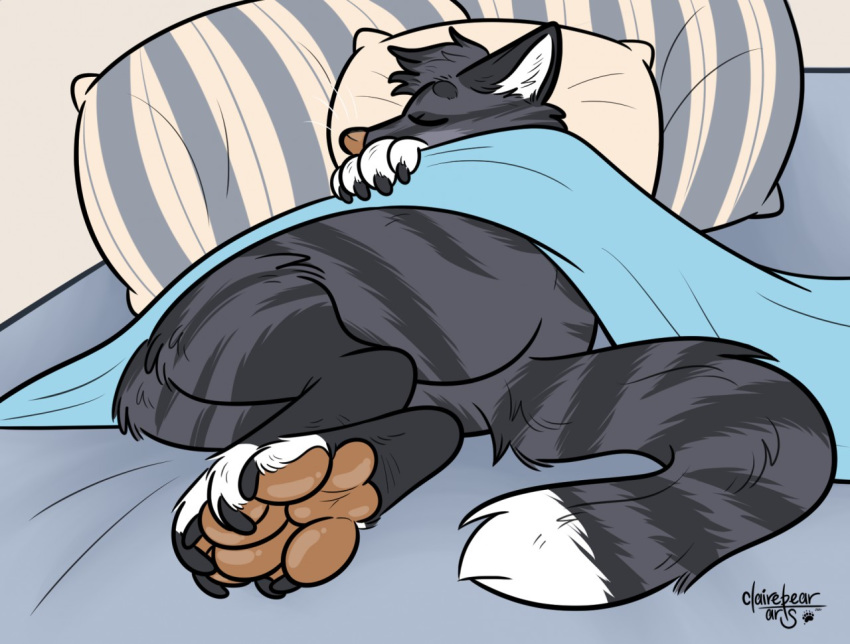 anthro ass bed brown_nose brown_pawpads canid canine dipstick_tail domestic_cat feet felid feline felis foot_focus fox fur furniture grey_body grey_fur grey_stripes hybrid male mammal markings multicolored_tail pawpads paws pillow signature sleeping solo strawbear stripes tabby_cat tail tail_markings zax_(zwalexan)