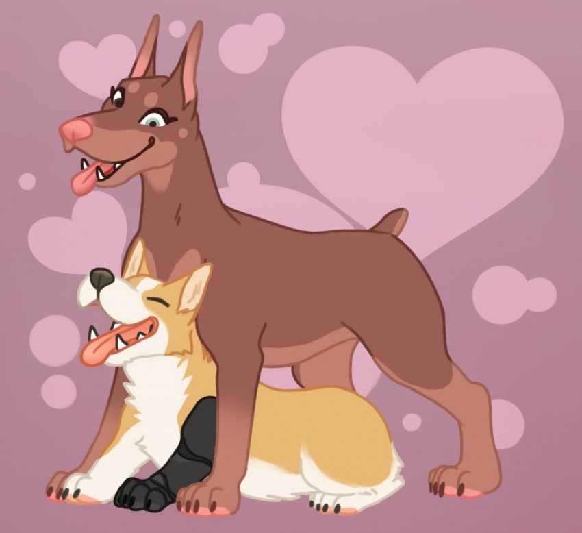 canid canine canis cybernetics deermary dobermann domestic_dog duo female feral heart_symbol herding_dog heterochromia machine male male/female mammal pastoral_dog pinscher prosthetic prosthetic_arm prosthetic_limb teeth tongue tongue_out welsh_corgi