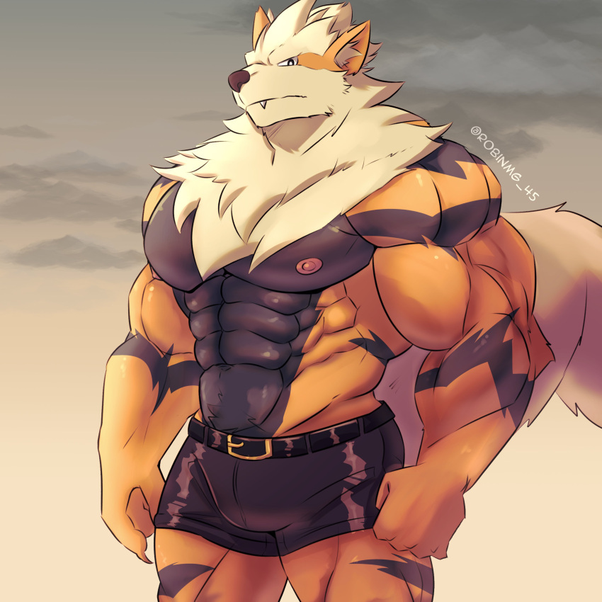 1:1 abs absurd_res anthro arcanine belt big_muscles biped black_bottomwear black_clothing black_shorts black_stripes blonde_hair bottomwear canid canine clothing cloud cream_hair fangs fist fluffy fluffy_tail fur generation_1_pokemon hair hi_res hotpants looking_at_viewer male mammal mane muscular nintendo nipples orange_body orange_fur pecs pink_nipples pokemon pokemon_(species) portrait robinmg_45 shorts solo standing stripes tail teeth three-quarter_portrait twitter_handle