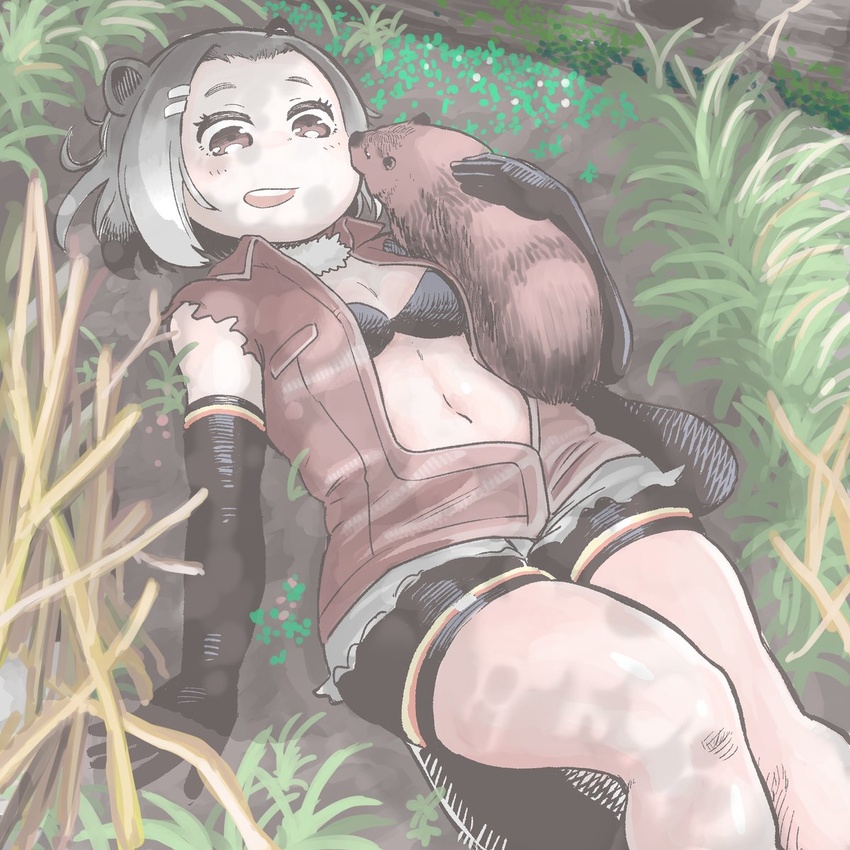 :d american_beaver_(kemono_friends) animal_ears beaver beaver_ears beaver_tail bike_shorts black_bra black_gloves bra breasts brown_eyes brown_jacket commentary_request creature_and_personification elbow_gloves feet_out_of_frame female gloves grass grey_hair hair_ornament hairclip hare_(tetterutei) highres jacket kemono_friends legs_together looking_at_viewer lying navel on_back open_mouth short_hair sleeveless sleeveless_jacket small_breasts smile solo tail underwear