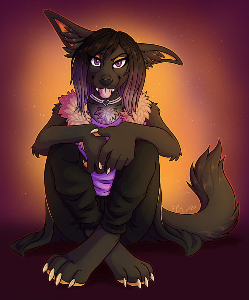 2020 4_toes 5_fingers anthro black_body black_fur black_hair breasts canid canine citrinelle claws digital_media_(artwork) eyebrows eyelashes feet female fingers fur hair hi_res looking_at_viewer mammal pawpads paws purple_eyes smile solo toe_claws toes