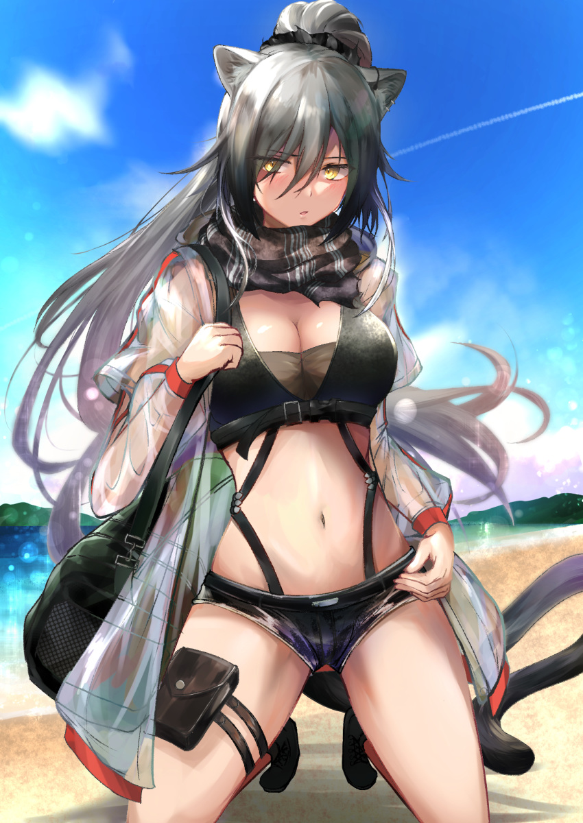 animal_ears arknights bag beach black_scarf black_shorts blue_sky breasts cat_ears cat_tail cleavage cloud commentary contrail crop_top day female grey_hair hair_between_eyes highres jacket kiyakyuu kneeling large_breasts long_hair long_sleeves looking_at_viewer micro_shorts midriff navel open_clothes open_jacket outdoors parted_lips pouch scarf schwarz_(arknights) see-through shadow shorts sky solo stomach tail thigh_strap thighs yellow_eyes