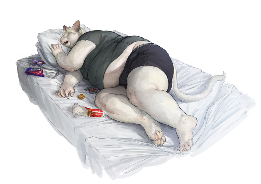 5_fingers anthro bed belly big_belly blonde_hair cettus closed_eyes clothed clothing cookie dirty domestic_cat felid feline felis fingers food fur furniture grey_clothing grey_shirt grey_t-shirt grey_topwear hair hairless hairless_cat hakon_brandvold hi_res love_handles lying male mammal messy_eater midriff obese obese_anthro obese_male on_bed on_side open_mouth overweight overweight_anthro overweight_male pantsless pantsless_male peterbald shirt sleeping solo t-shirt tail thin_tail topwear underwear white_body white_fur white_tail