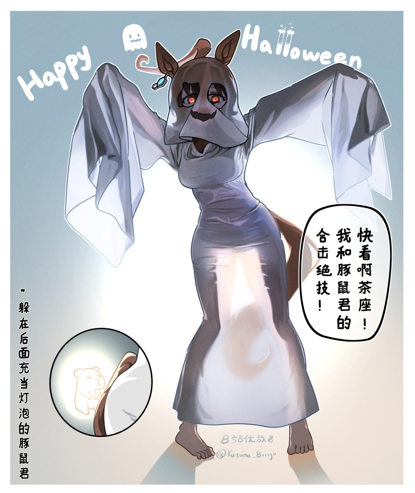 absurdres agnes_tachyon_(umamusume) ahoge animal_ears animalization backlighting barefoot bilibili_username brown_eyes brown_hair commentary crazy_eyes earrings ears_through_hood english_text female full_body ghost_costume glowing gradient_background grey_background guinea_pig haihara_yuuya halloween halloween_costume happy_halloween highres horse_ears horse_girl horse_tail huge_ahoge jewelry long_sleeves looking_at_viewer mixed-language_text pigeon-toed robe shadow single_earring sleeves_past_fingers sleeves_past_wrists tail test_tube translation_request translucent twitter_username umamusume white_hood white_robe