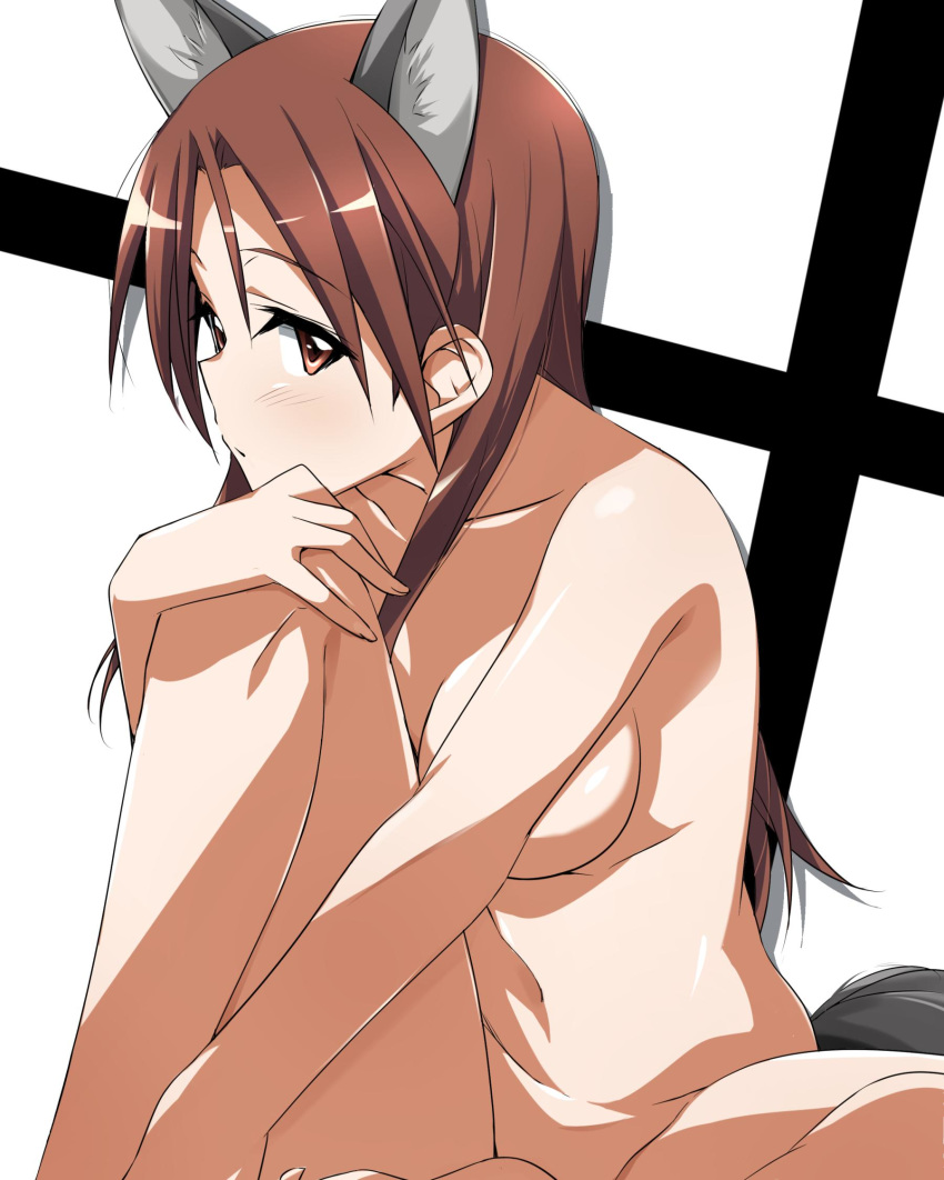 animal_ears breasts brown_eyes brown_hair commentary_request convenient_arm female glance head_on_knee highres knee_up long_hair looking_at_viewer medium_breasts minna-dietlinde_wilcke nude simple_background sitting solo strike_witches tail tokiani wolf_ears wolf_girl wolf_tail world_witches_series