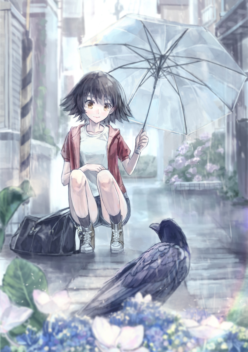 54cr bag bird black_hair bookbag brown_eyes chinese_commentary commentary crow female flower highres hydrangea looking_at_animal nonaka_haru outdoors photoshop_(medium) rain rainbow shirt short_hair short_sleeves shorts smile socks solo squatting transparent transparent_umbrella umbrella white_shirt yesterday_wo_utatte