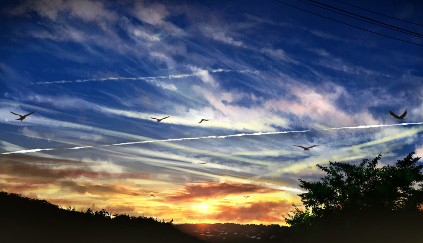 animal bird clouds gensuke original scenic sky sunset