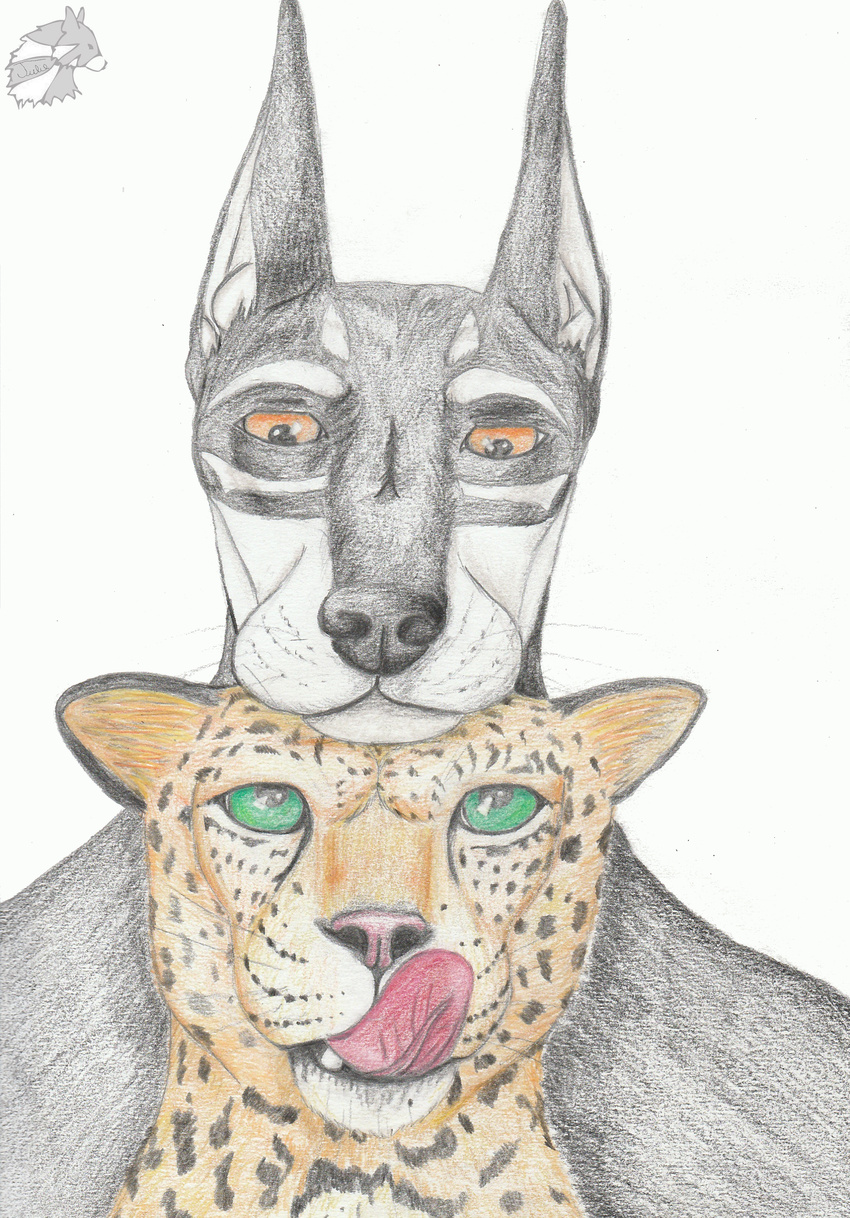 absurd_res anthro canid canine canis dobermann domestic_dog duo felid happy hi_res leopard male mammal ortaon pantherine pinscher tongue traditional_media_(artwork) yenza