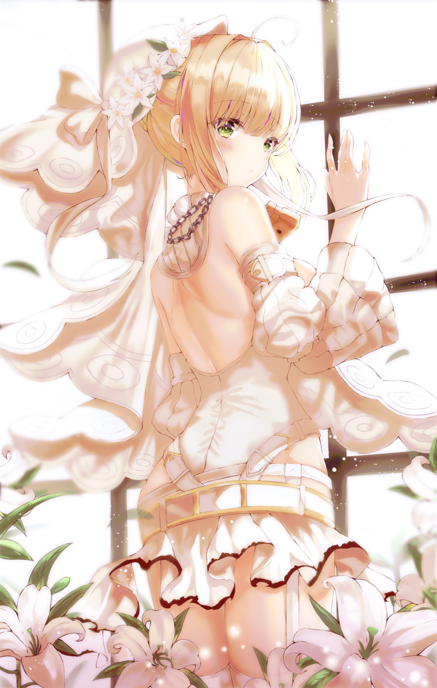 fate/grand_order lotpi saber_bride saber_extra tagme