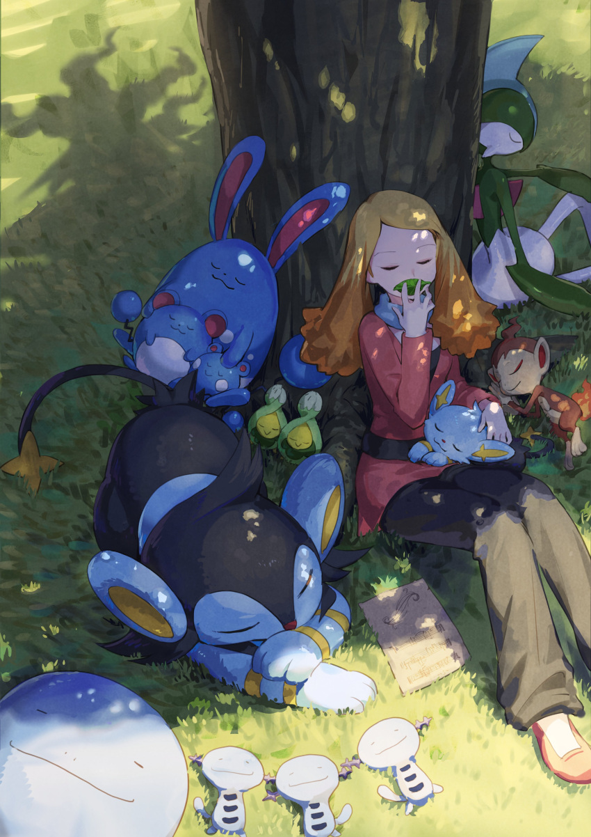 absurdres alice_(pokemon) azumarill azurill belt black_belt black_pants blonde_hair brown_hair budew chimchar darkrai day female gallade grass highres holding holding_leaf leaf long_hair luxio marill nemoto_yuuma outdoors pants pokemon pokemon:_the_rise_of_darkrai pokemon_(anime) pokemon_(creature) pokemon_dppt_(anime) quagsire red_footwear red_shirt shadow shinx shirt sitting sleeping staff_(music) tree whistling wooper